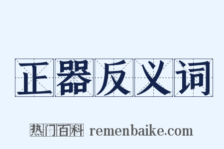 正器反义词是什么意思的图片